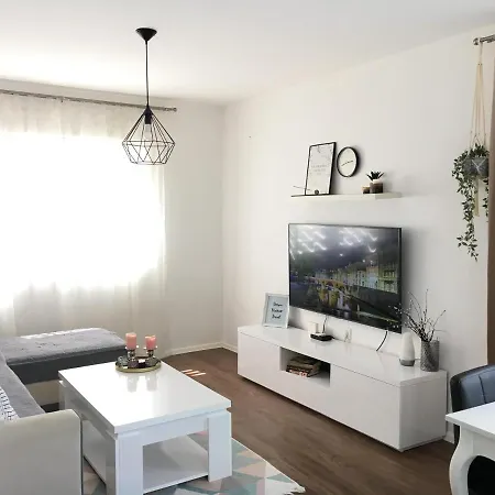 Cozy And Charming Apt. Apartment